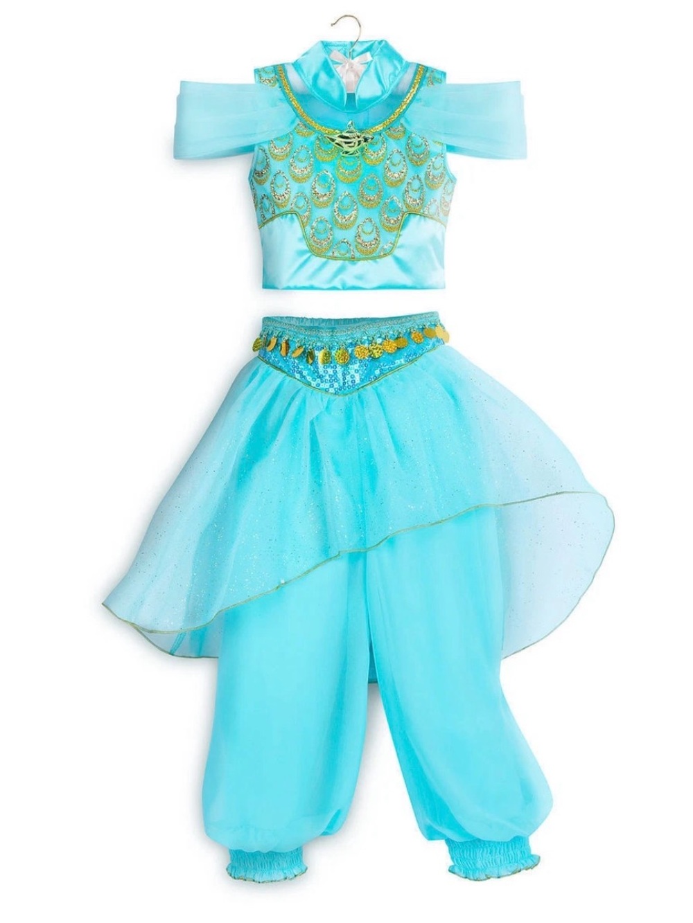 Disney Princess Jasmine Costume from Disneyland